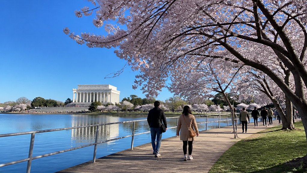 five day washington dc itinerary