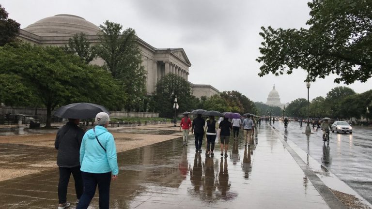indoor activities for rainy washington