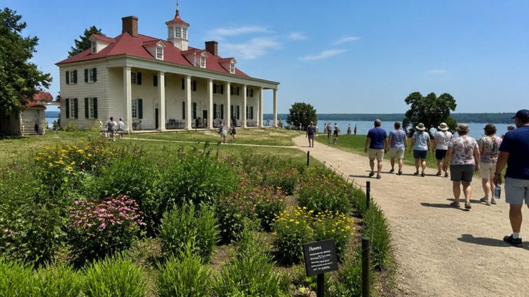 mount vernon day trip