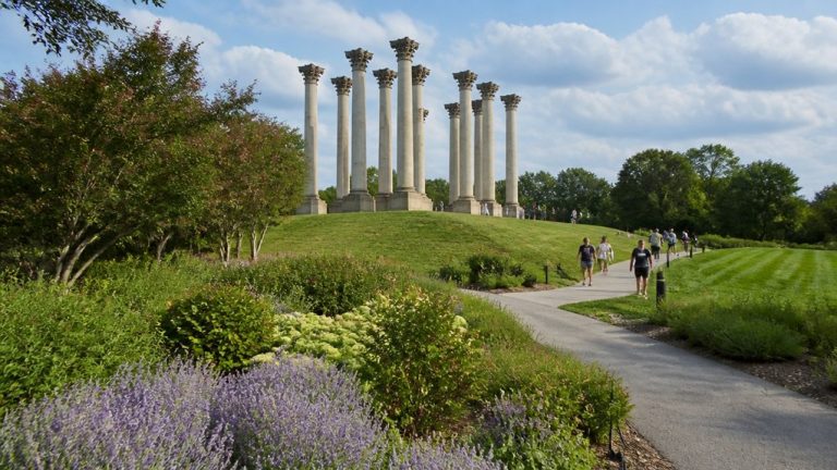 national arboretum washington dc