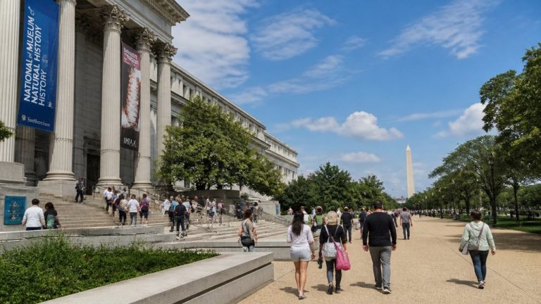 Best Museums in Washington DC