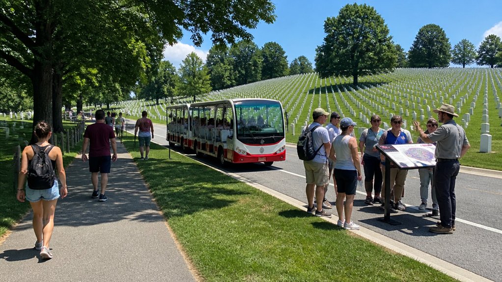 tram walks guided tours