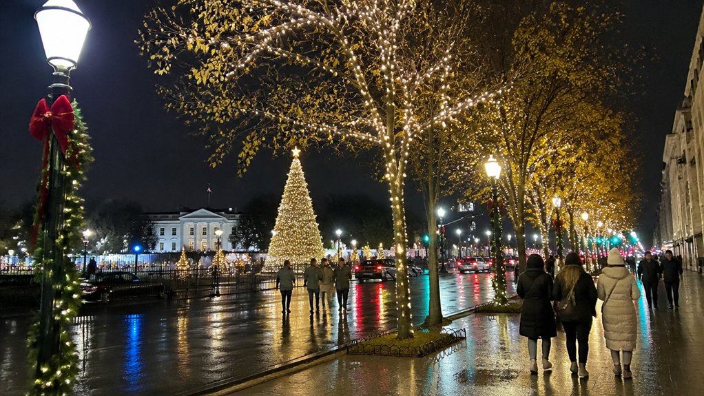 washington dc holiday light tour